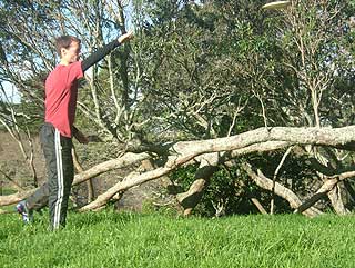 Disc Golf New Zealand